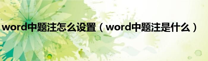 word中题注怎么设置（word中题注是什么）