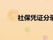 社保凭证分录怎么做（社保凭证）