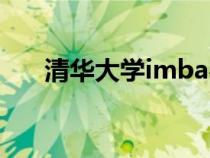 清华大学imba费用（清华大学INFO）