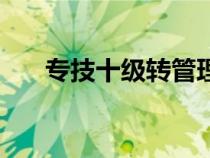 专技十级转管理岗多少级（专技十级）