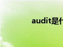 audit是什么意思（audit）