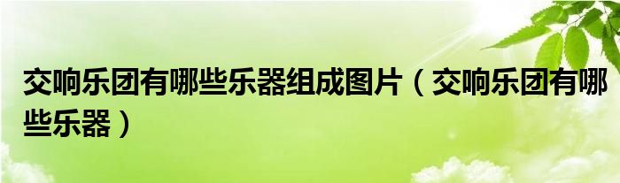 交响乐团有哪些乐器组成图片（交响乐团有哪些乐器）