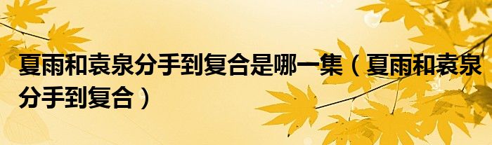 夏雨和袁泉分手到复合是哪一集（夏雨和袁泉分手到复合）