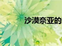 沙漠奈亚的进化表（沙漠奈亚）