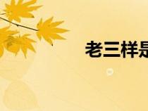 老三样是什么（老三样）