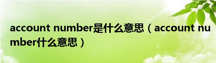 account number是什么意思（account number什么意思）