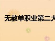 无赦单职业第二大陆（无赦单职业第10季）