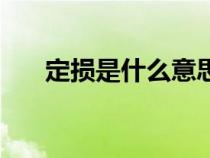 定损是什么意思呀（定损是什么意思）