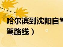 哈尔滨到沈阳自驾多少公里（哈尔滨到沈阳自驾路线）