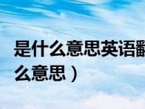 是什么意思英语翻译成中文（オリジナル是什么意思）
