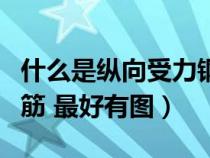 什么是纵向受力钢筋图片(什么是纵向受力钢筋 最好有图) 什么是纵向受力钢筋图片(什么是纵向受力钢筋 最好有图)
