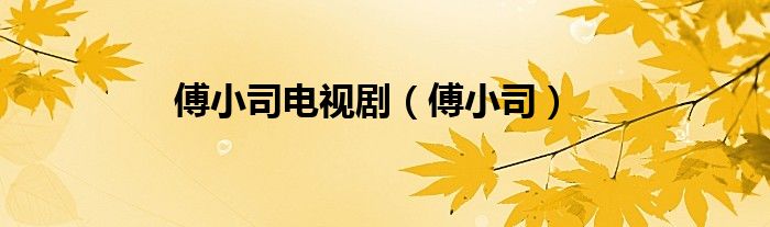 傅小司电视剧（傅小司）