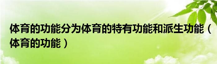 /news/20231206/916f098986.html