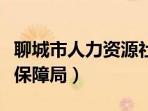 聊城市人力资源社会保障局（聊城市人力资源保障局）