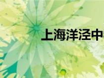 上海洋泾中学（上海洋泾中学）