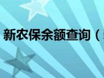 新农保余额查询（新农保个人帐户怎么查询）