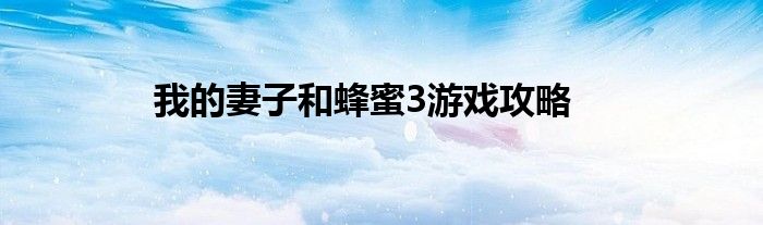 我的妻子和蜂蜜3游戏攻略