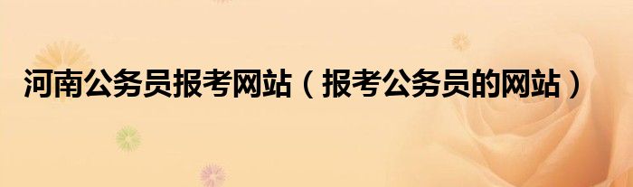 河南公务员报考网站（报考公务员的网站）