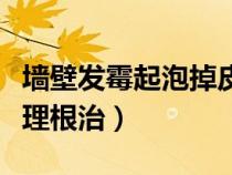 墙壁发霉起泡掉皮怎么处理（墙壁发霉怎么处理根治）