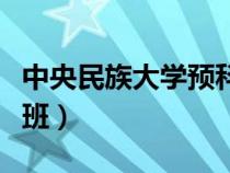 中央民族大学预科班要求（中央民族大学预科班）