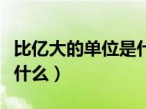 比亿大的单位是什么怎么读（比亿大的单位是什么）