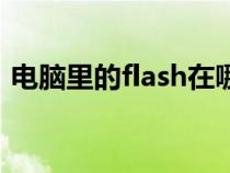 电脑里的flash在哪里(电脑里的flash在哪) 电脑里的flash在哪里(电脑里的flash在哪)