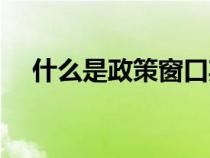 什么是政策窗口期（窗口期是什么意思）