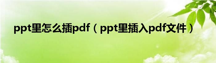 ppt里怎么插pdf（ppt里插入pdf文件）