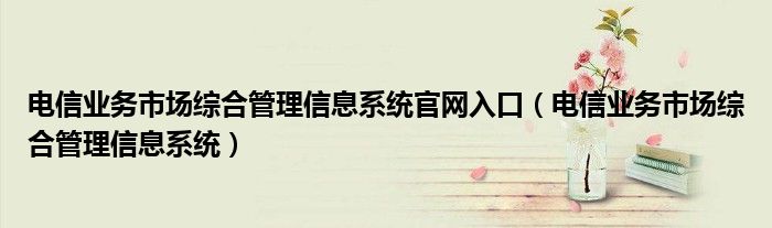 电信业务市场综合管理信息系统官网入口（电信业务市场综合管理信息系统）