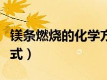 镁条燃烧的化学方程式（氢气燃烧的化学方程式）