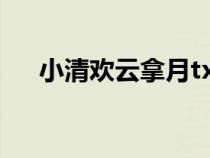小清欢云拿月txt下载（小清欢云拿月）