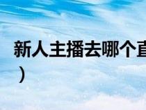 新人主播去哪个直播平台好（哪个直播平台好）
