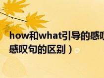 how和what引导的感叹句的区别小学(how和what引导的感叹句的区别) how和what引导的感叹句的区别小学(how和what引导的感叹句的区别)