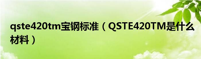 qste420tm宝钢标准（QSTE420TM是什么材料）