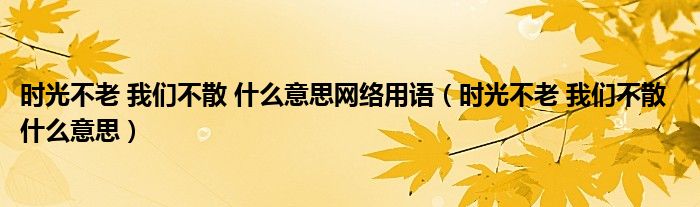 光阴不老 咱们不散 甚么意思收集用语（光阴不老 咱们不散  甚么意思）