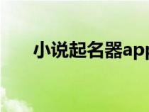 小说起名器app（小说取名字器在线）