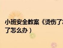 小班安全教案《烫伤了怎么办》（幼儿园小班安全教案 烫伤了怎么办）