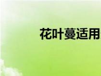 花叶蔓适用多深的盆（花叶蔓）