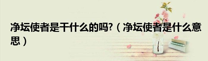 净坛使者是干什么的吗?（净坛使者是什么意思）