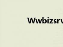 Wwbizsrv exe应用程序错误