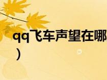 qq飞车声望在哪里升级（qq飞车车队升级表）