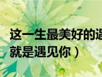 这一生最美好的遇见(我的一生最美好的场景就是遇见你) 这一生最美好的遇见(我的一生最美好的场景就是遇见你)