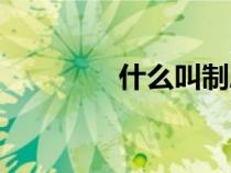 什么叫制度（什么叫制度）