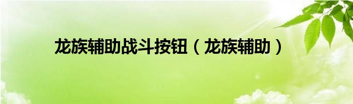 龙族辅助战斗按钮（龙族辅助） 