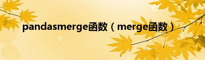 pandasmerge函数（merge函数）