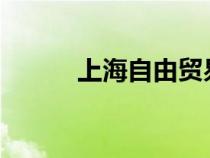 上海自由贸易试验区属于哪个区