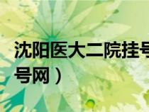 沈阳医大二院挂号网上预约（沈阳医大二院挂号网）