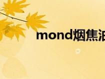 mond烟焦油量多少（mond烟）