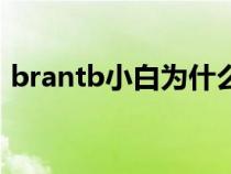 brantb小白为什么瘦那么多(brantb小白) brantb小白为什么瘦那么多(brantb小白)
