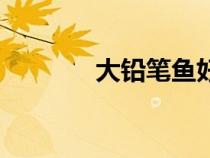 大铅笔鱼好养吗（大铅笔鱼）